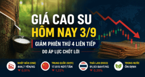 Giá cao su hôm nay 3/9: Giảm phiên thứ 4 liên tiếp do áp lực chốt lời