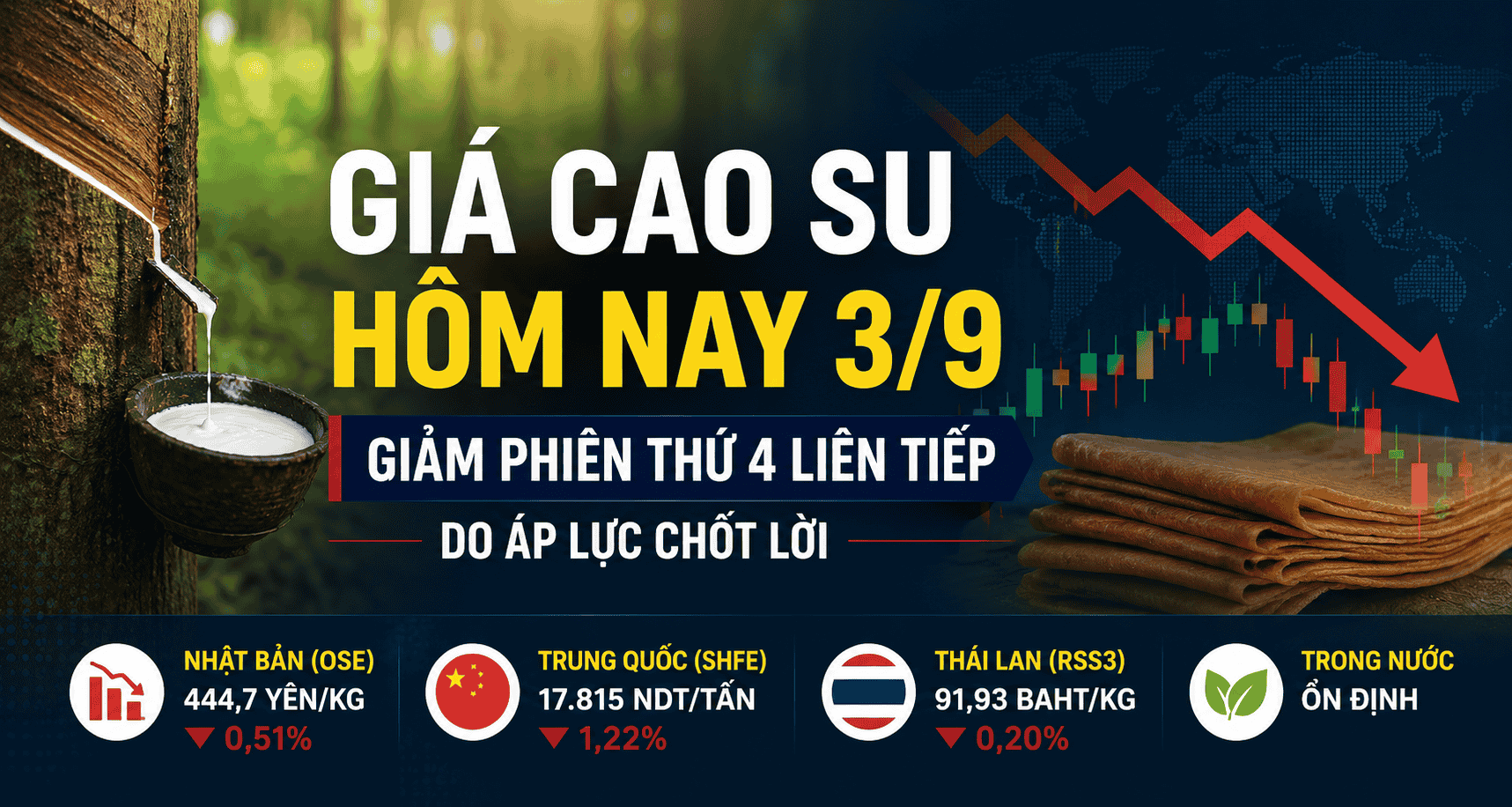 Giá cao su hôm nay 3/9: Giảm phiên thứ 4 liên tiếp do áp lực chốt lời
