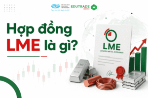Hợp đồng LME là gì? Đặc điểm, định giá và cách giao dịch