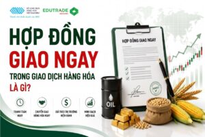 Hợp đồng giao ngay trong giao dịch hàng hóa là gì