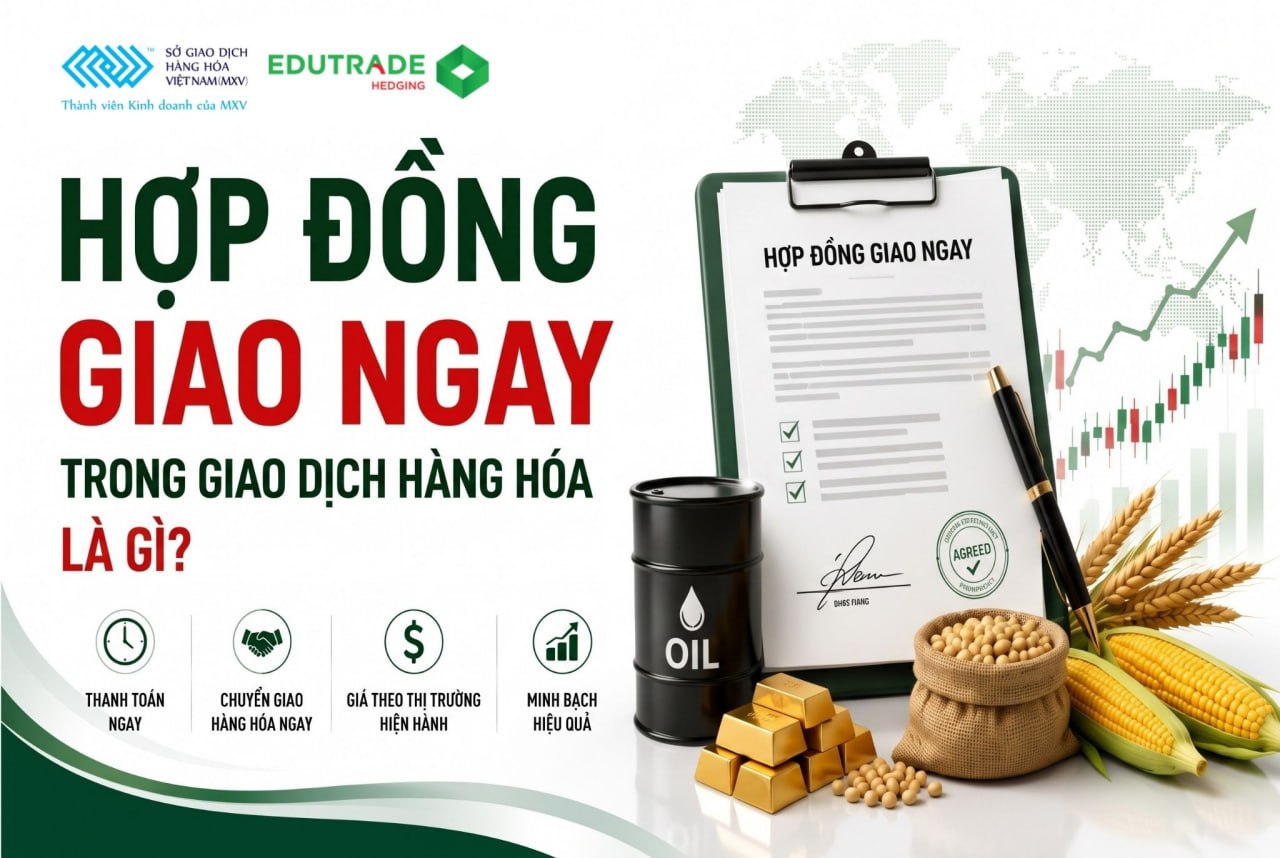 Hợp đồng giao ngay trong giao dịch hàng hóa là gì