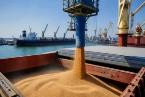 Illustration of EU xem xét mọi kênh để tăng xuất khẩu ngũ cốc Ukraine