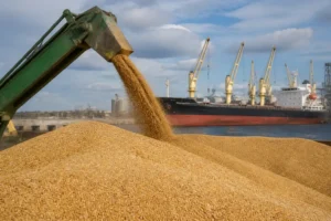 Giá lúa mì Ukraine giảm khi chi phí logistics tăng