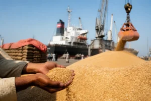 Giá nhập khẩu cao hỗ trợ lúa mì nội địa Pakistan