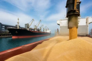 Kallas kêu gọi ngừng tấn công để khôi phục xuất khẩu