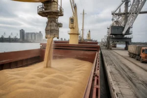 Ukraine kêu gọi cảng Baltic ngừng xử lý ngũ cốc Nga