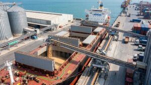 Giá gạo Ấn Độ lên đỉnh hơn một năm, đường thô chạm đỉnh 18 tháng
