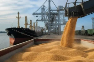 Illustration of EBA kêu gọi siết xuất khẩu ngũ cốc Nga qua cảng Baltic