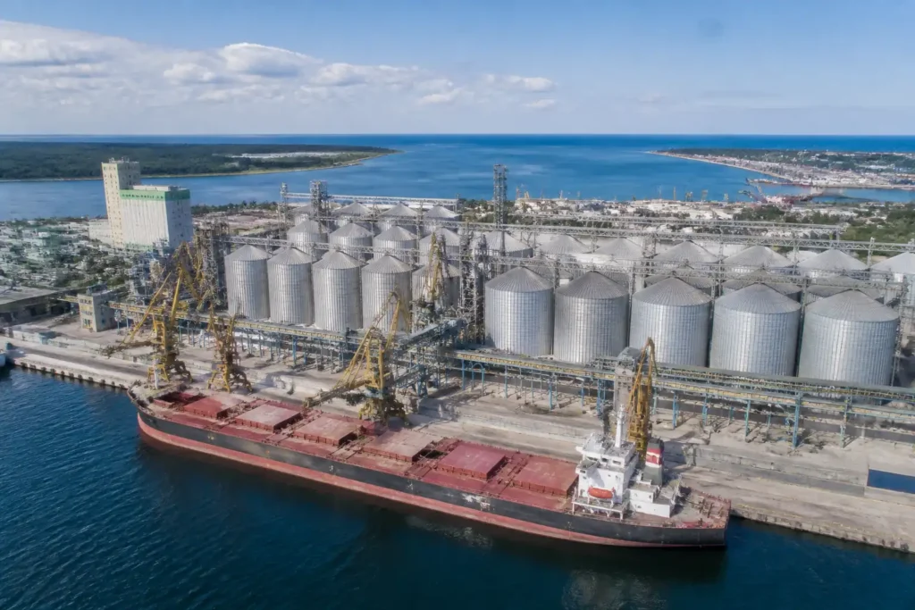 Illustration of Khu vực Baltic Sea tập trung tiềm năng ngũ cốc, dầu hạt và logistics xuất khẩu