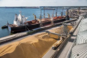 Illustration of Khu vực Baltic Sea tập trung tiềm năng ngũ cốc, dầu hạt và logistics xuất khẩu