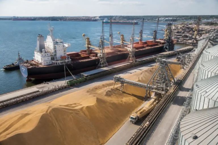 Illustration of Khu vực Baltic Sea tập trung tiềm năng ngũ cốc, dầu hạt và logistics xuất khẩu