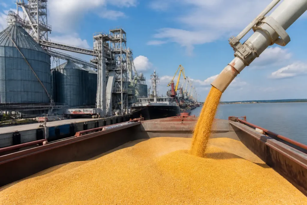 Nguồn cung ngũ cốc Biển Đen dư thừa, giá toàn cầu có thể lao dốc khi cảng mở lại