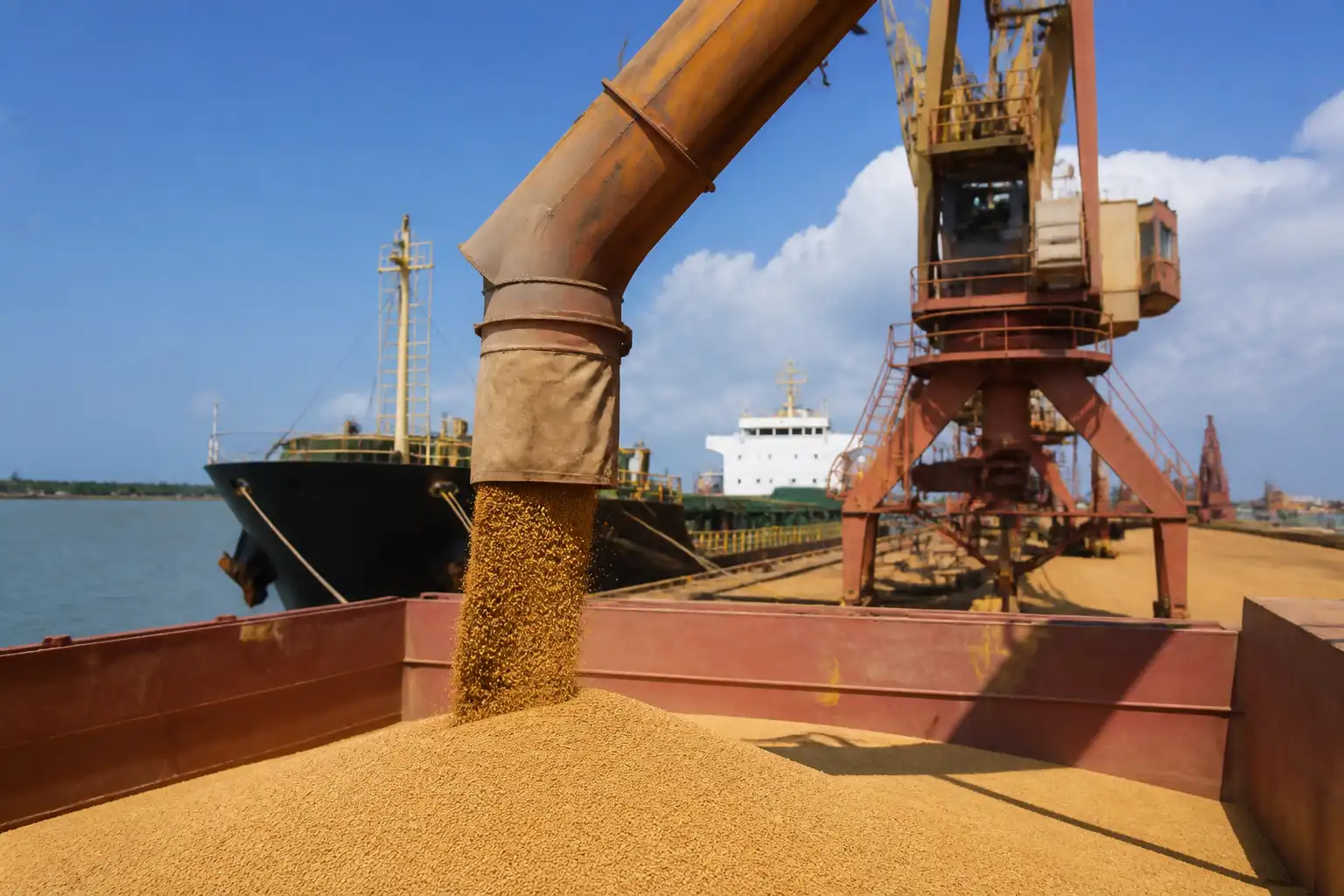 Illustration of Nhập khẩu khô đậu nành của Philippines có thể tăng 10% vào năm 2027