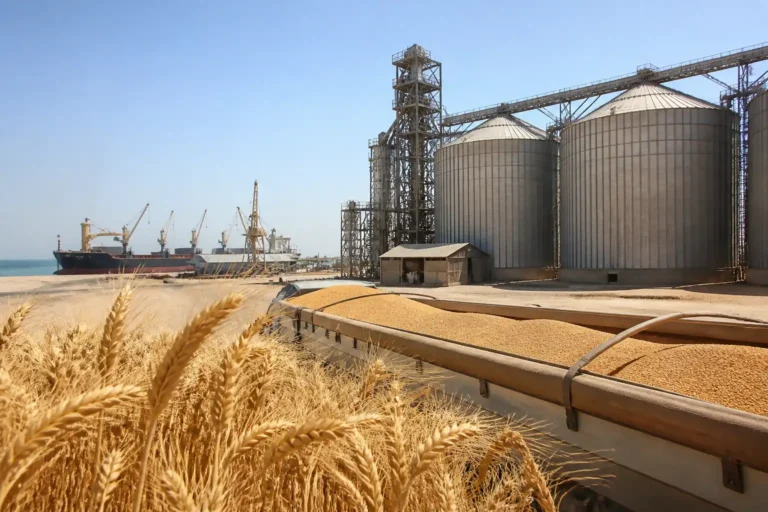 Illustration of Saudi Arabia hợp nhất mảng kinh doanh ngũ cốc để tăng an ninh lương thực