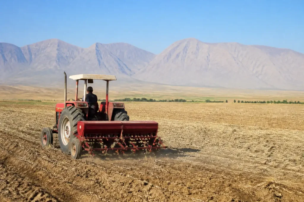 Illustration of Trì hoãn thanh toán của chính phủ đe dọa vụ gieo trồng lúa mì Iran