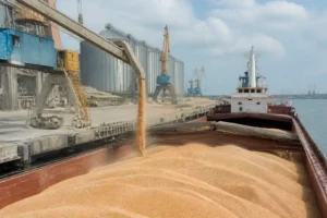 Ukraine xuất khẩu gần 1,5 triệu tấn ngũ cốc trong tháng 9