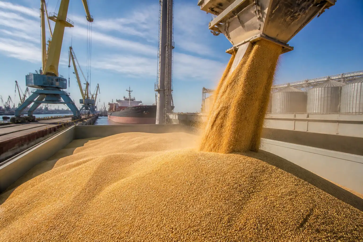 Illustration of USDA giữ dự báo xuất khẩu lúa mì Kazakhstan ở mức 9,5 triệu tấn