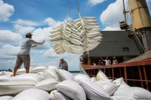Illustration of Việt Nam cắt xuất khẩu gạo 6,1% khi nhu cầu toàn cầu suy yếu