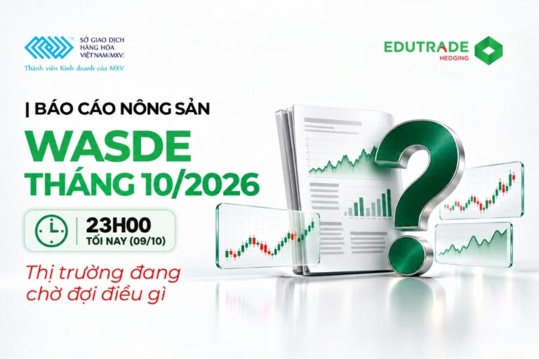 WASDE tháng 10/2026: Nông sản sẽ phản ứng ra sao?