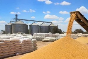 Zimbabwe lập kho dự trữ ngũ cốc 600.000 tấn